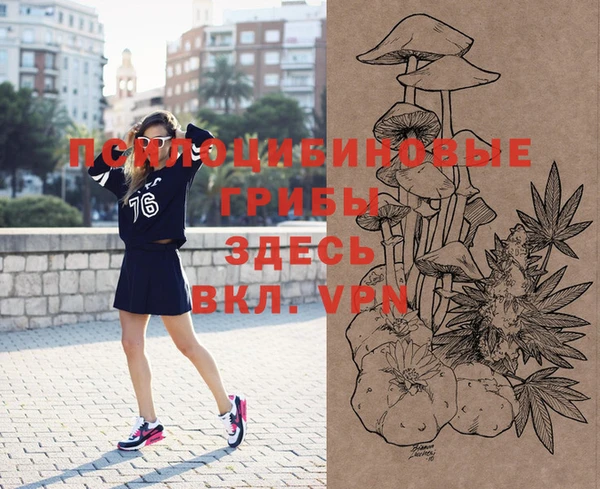 PSILOCYBIN Верхний Тагил