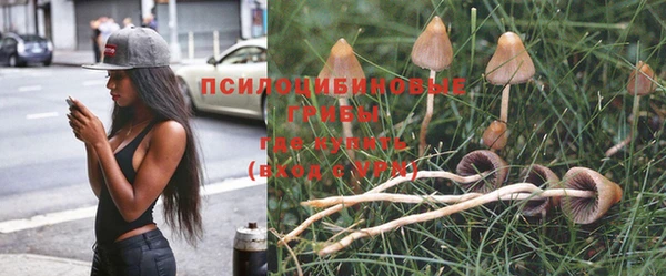 PSILOCYBIN Верхний Тагил