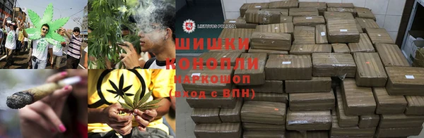 PSILOCYBIN Верхний Тагил